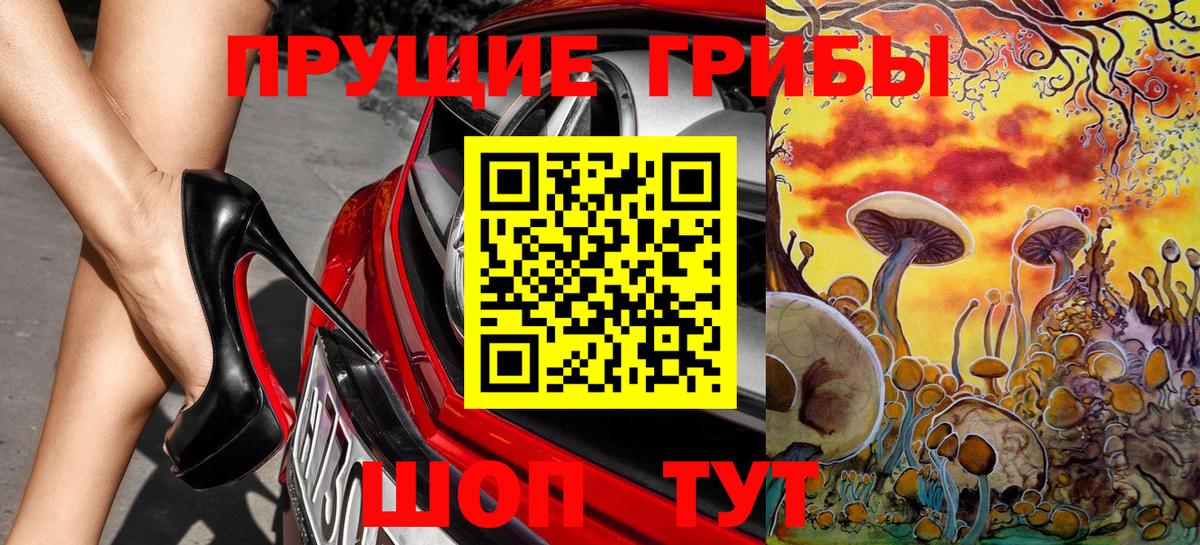 Черкесск  Галлюциногенные грибы GOLDEN TEACHER  Вход с VPN 