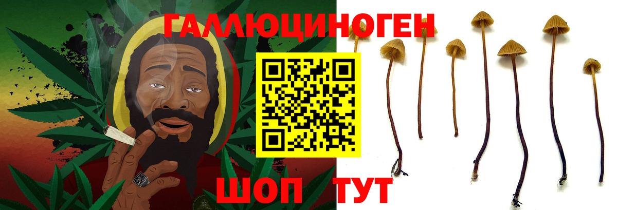 Галлюциногенные грибы ЛСД Черкесск